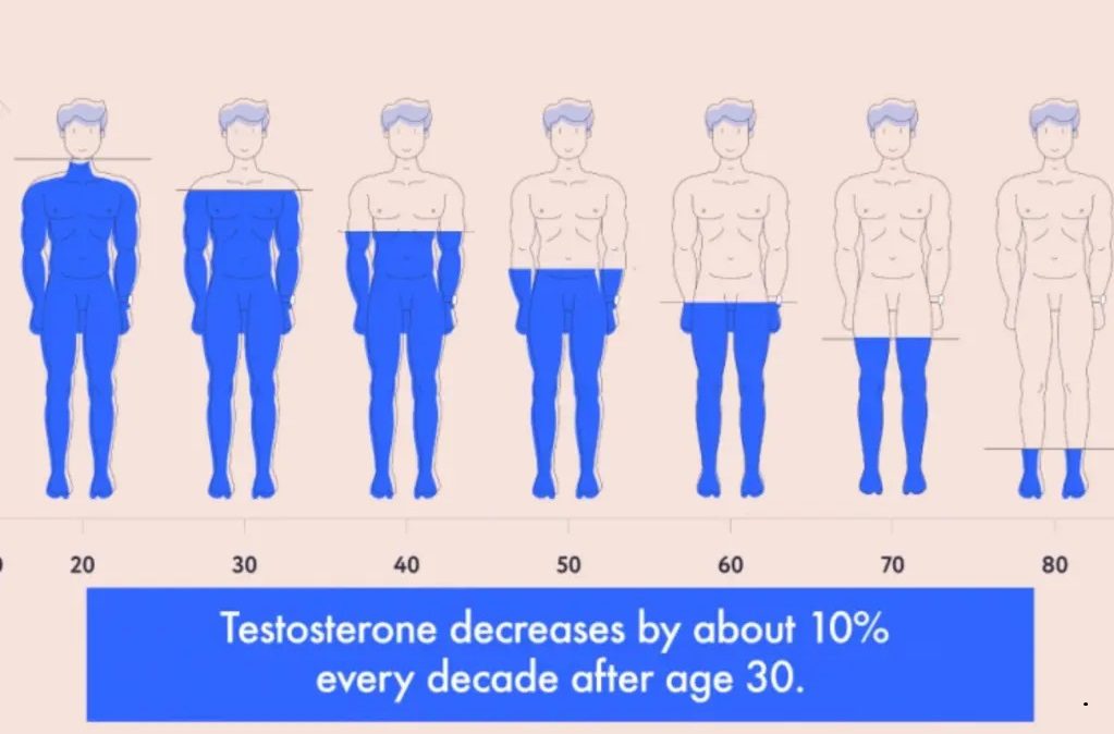Testosterone decreases with age