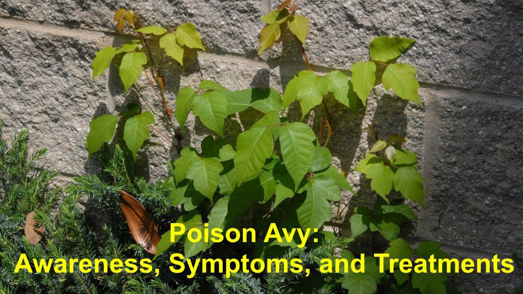 Poison Avy