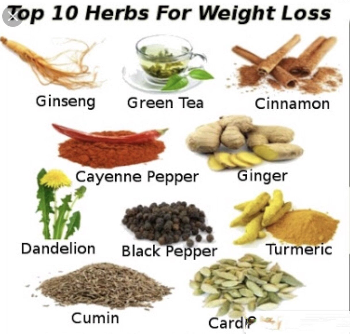 herbs