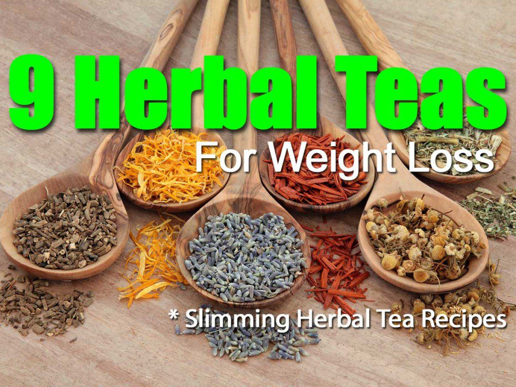Herbal tees for Natural weight loss