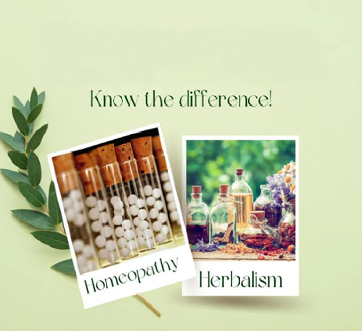 Homeoapthy vs Herbalism