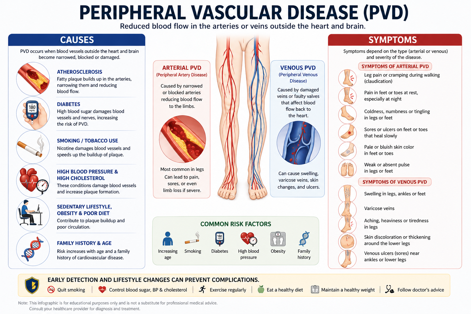 Peripheral Vascular Disease - Causes and Symptoms