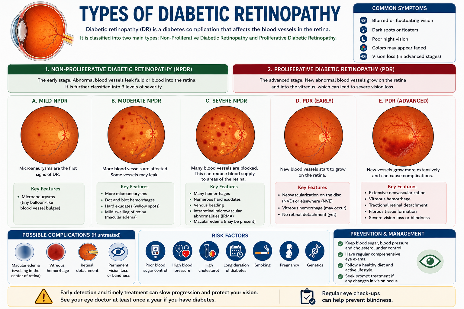 Types of Diebetic Retinopathy