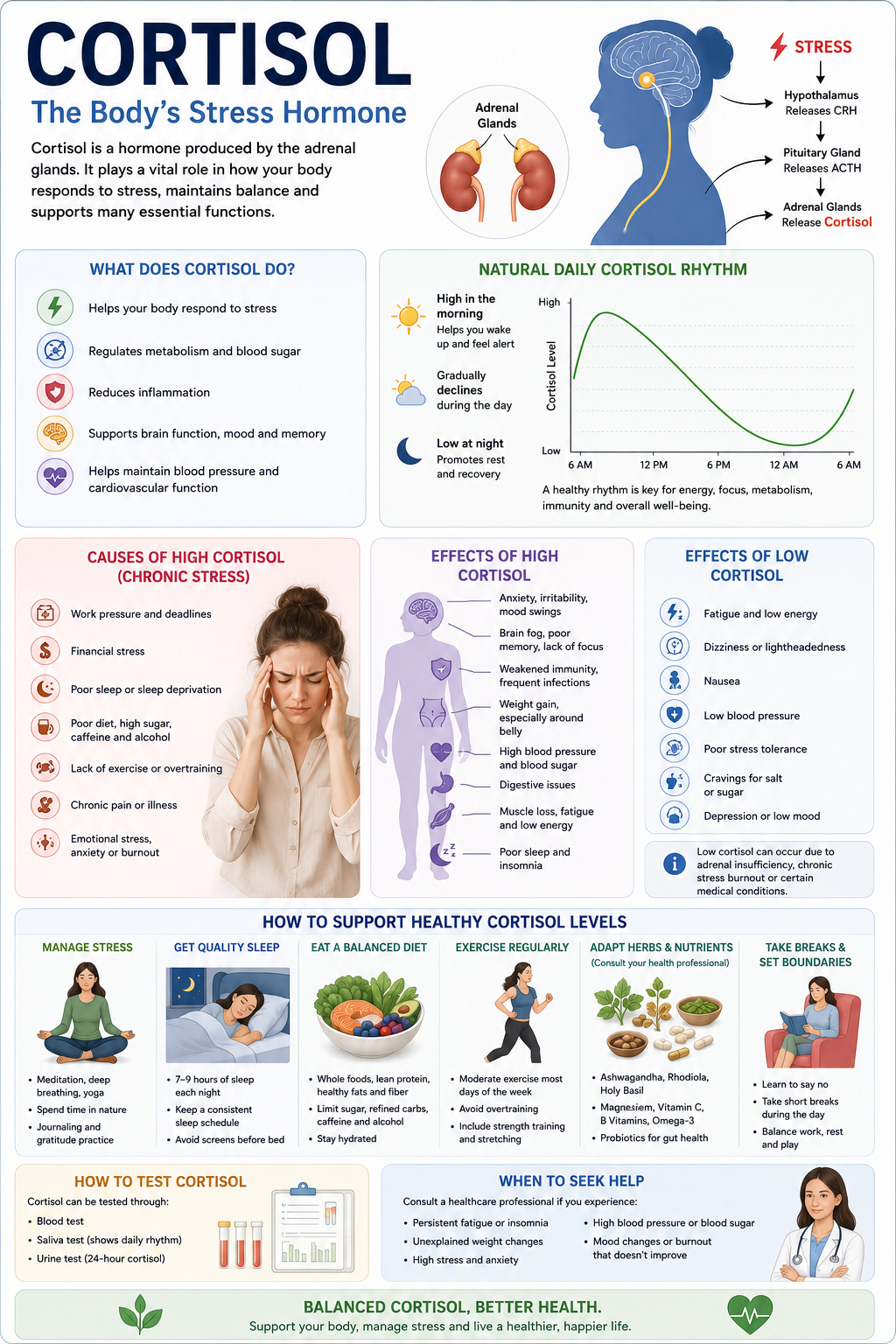 Cortisol