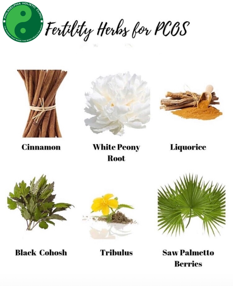 Herbs for PCOS